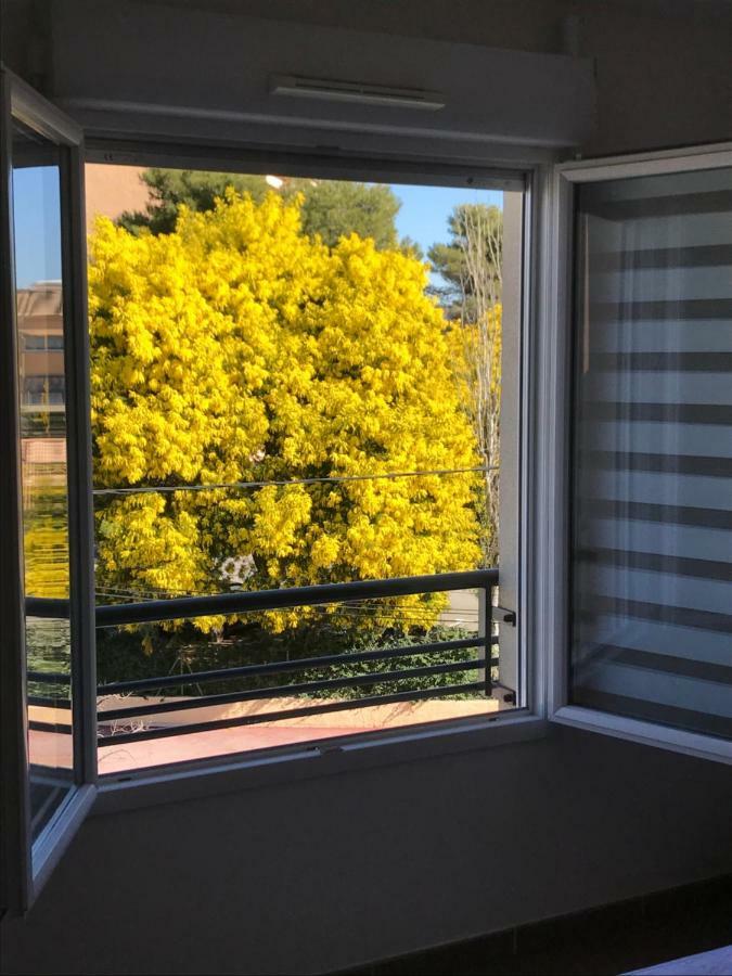 شقة Appart' Au Port Fréjus المظهر الخارجي الصورة